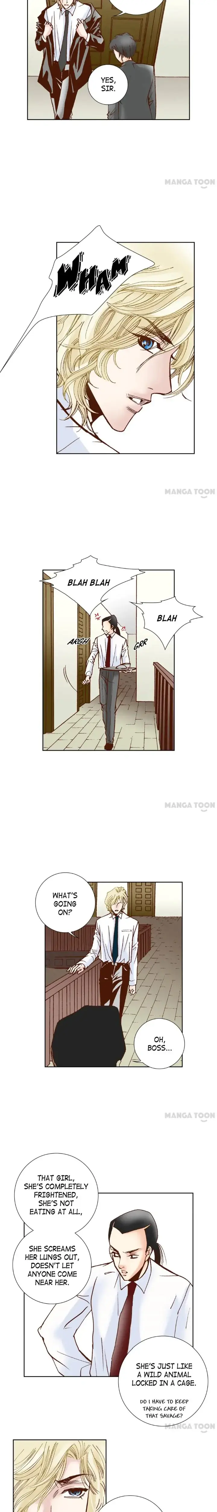 100 Perfect Girl Chapter 31 - Page 6