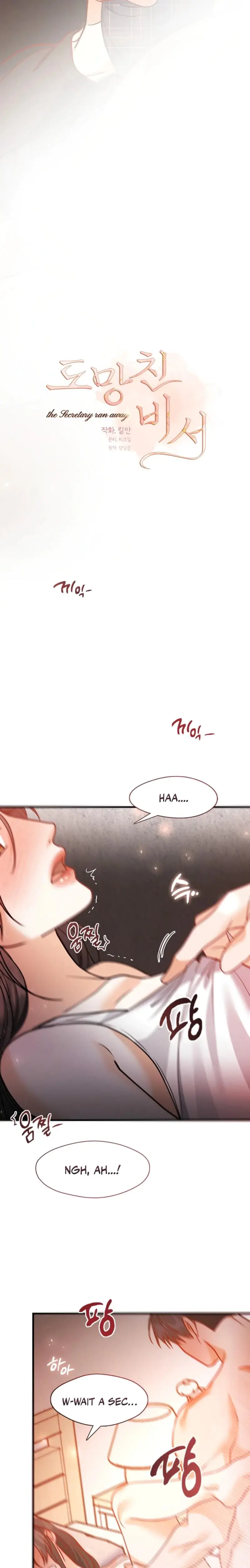 The Runaway Secretary Chapter 29 - Page 15