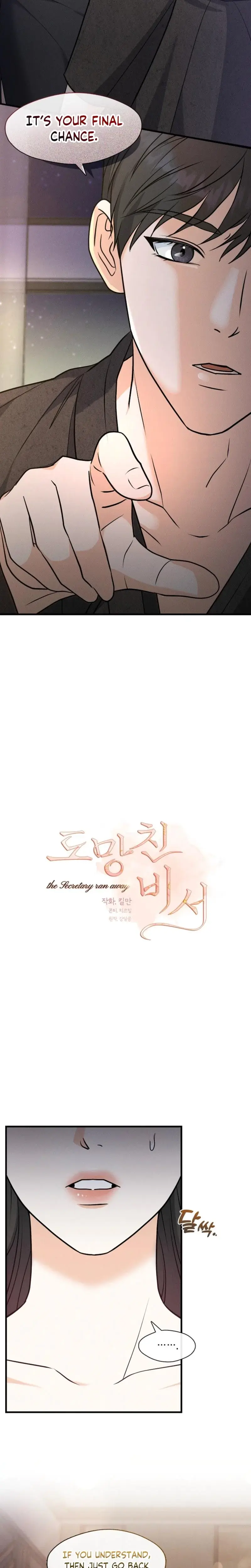 The Runaway Secretary Chapter 4 - Page 17