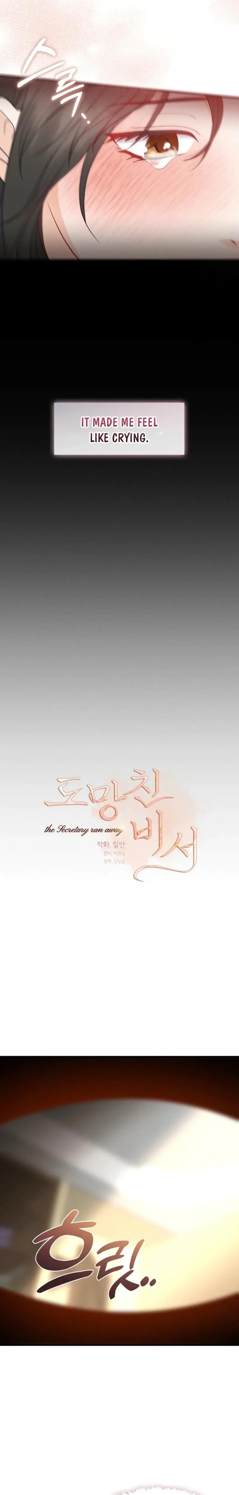 The Runaway Secretary Chapter 46 - Page 14