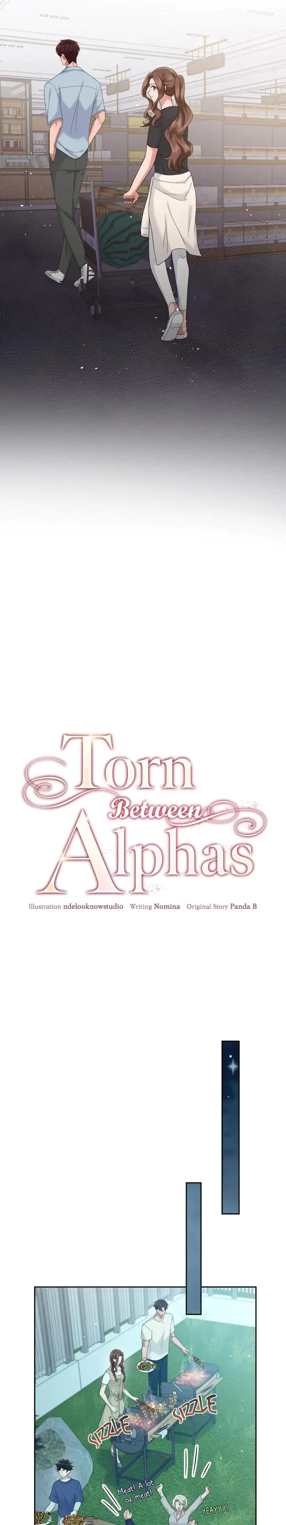 Torn Between Alphas Chapter 19 - Page 15