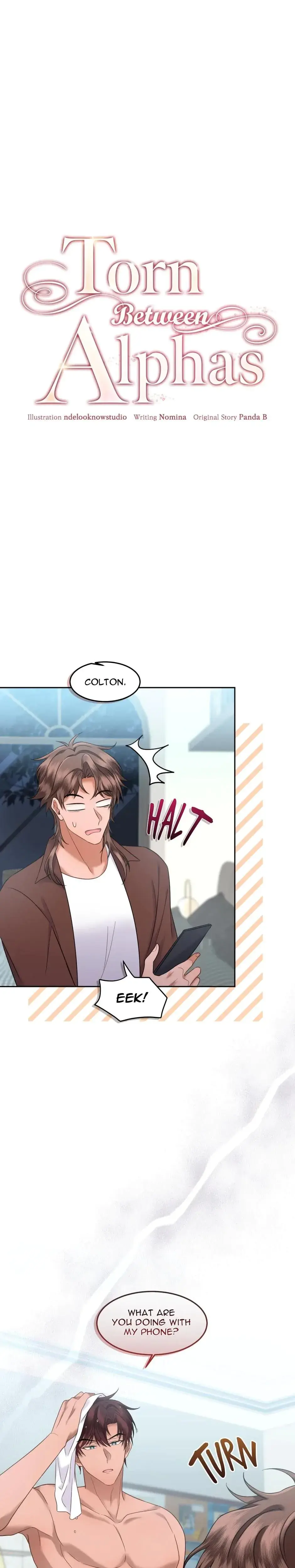 Torn Between Alphas Chapter 24 - Page 1