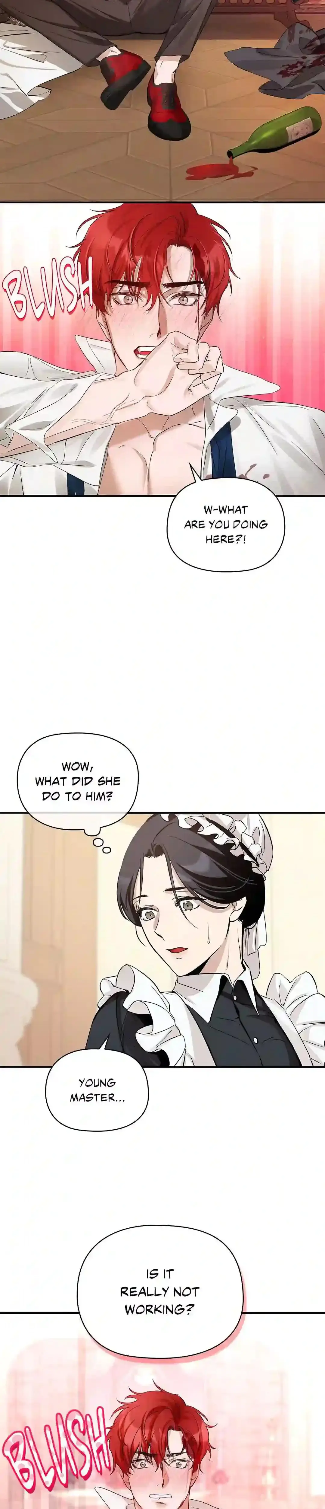 A Maids Playful Duties Chapter 1 - Page 19