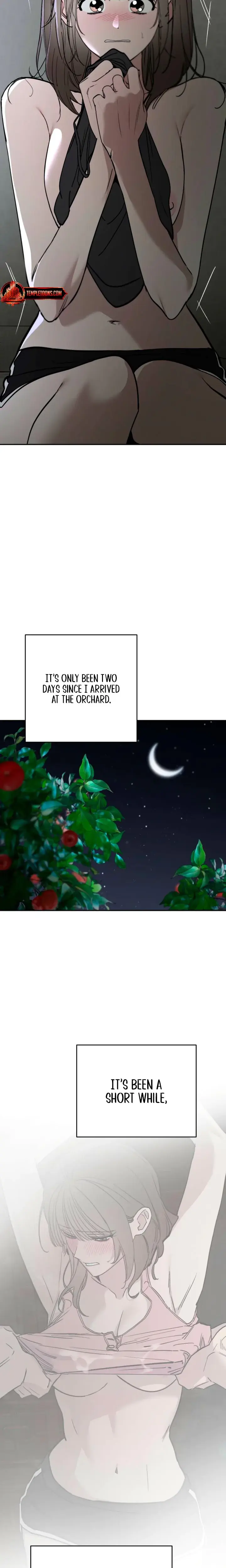 Affairs Of The Orchard Chapter 9 - Page 3