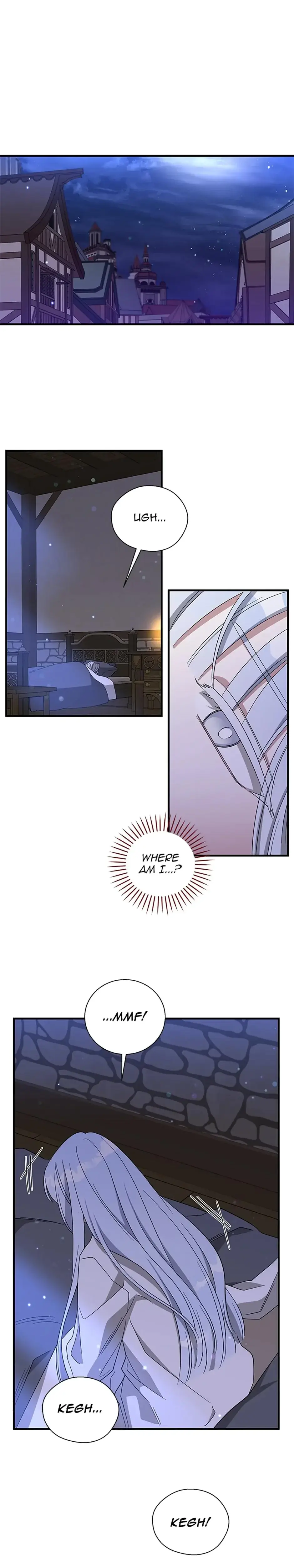 Baroness Goes On Strike Chapter 110 - Page 1