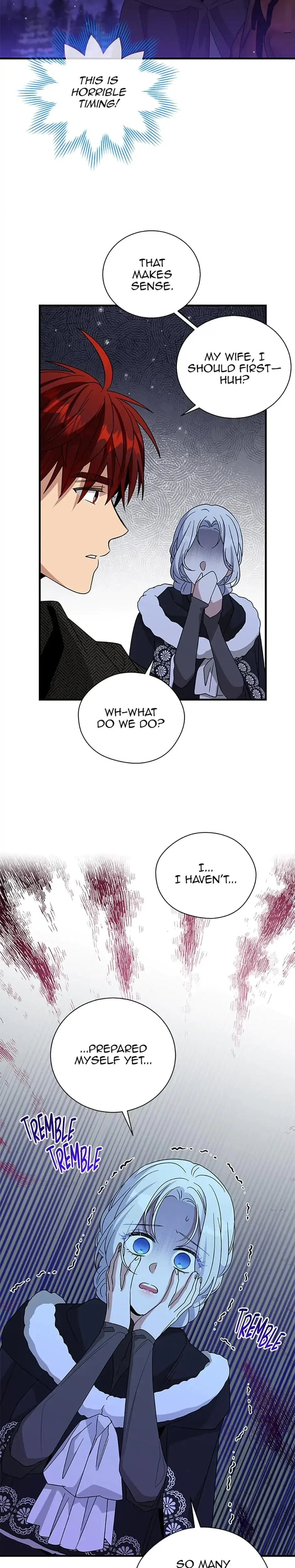 Baroness Goes On Strike Chapter 111 - Page 17