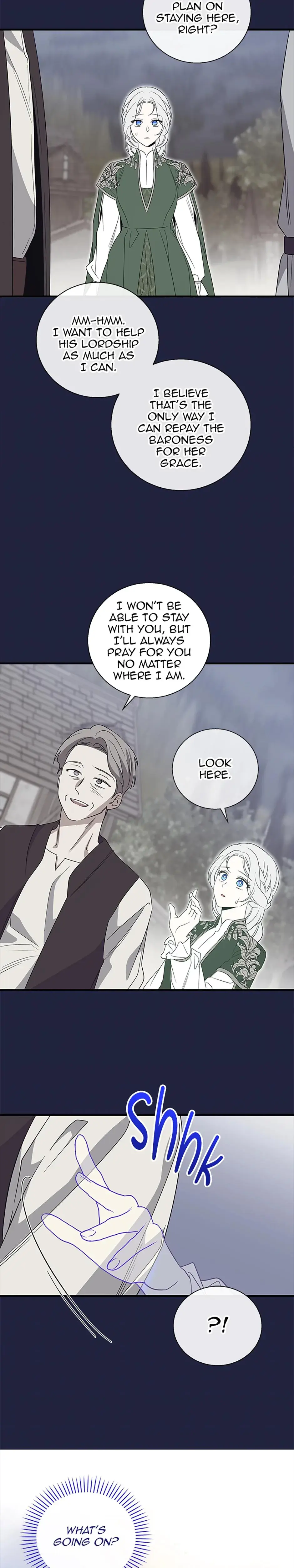 Baroness Goes On Strike Chapter 119 - Page 21