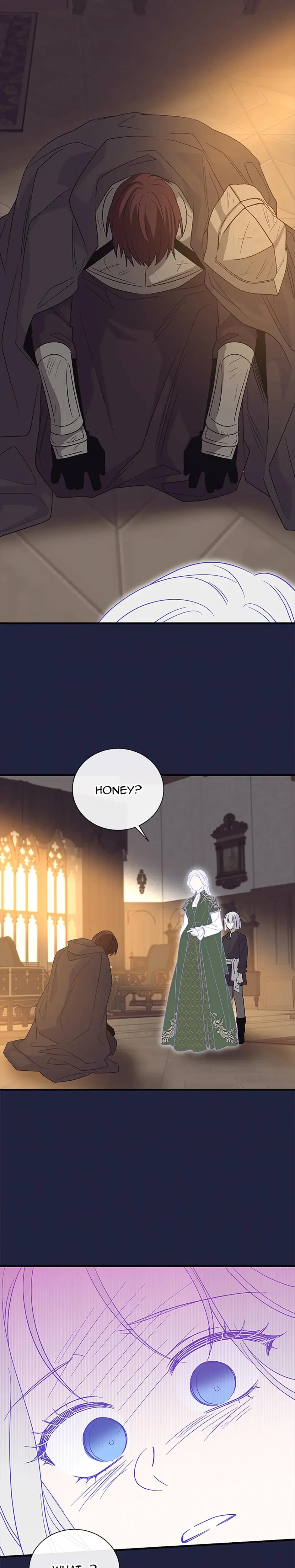 Baroness Goes On Strike Chapter 119 - Page 27