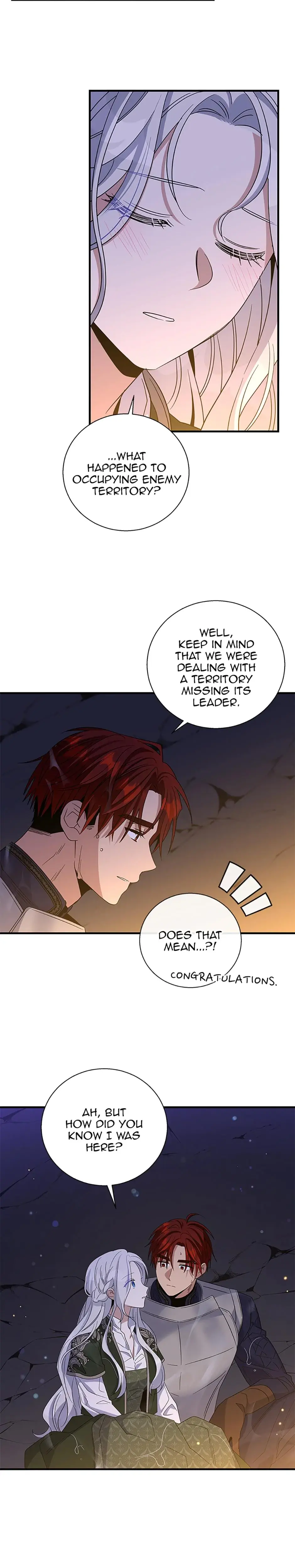 Baroness Goes On Strike Chapter 120 - Page 14