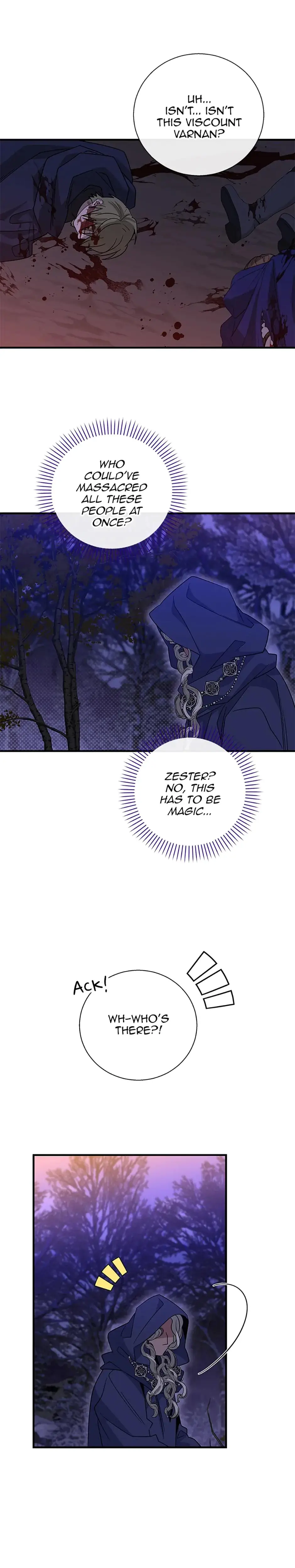 Baroness Goes On Strike Chapter 121 - Page 17