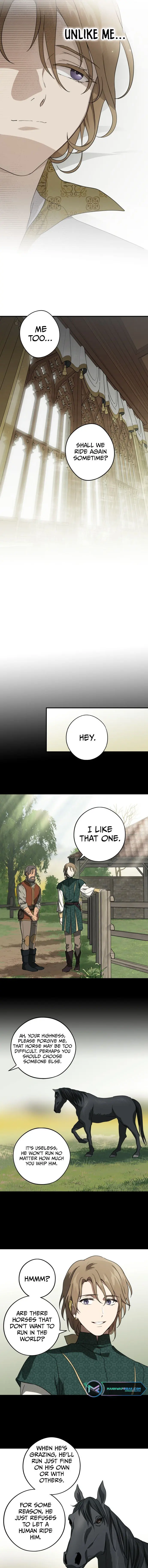 Blinded By The Setting Sun Chapter 119 - Page 9