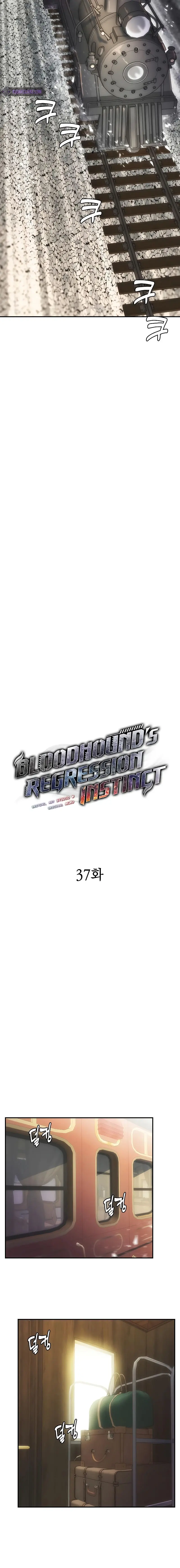 Bloodhounds Regression Instinct Chapter 37 - Page 2