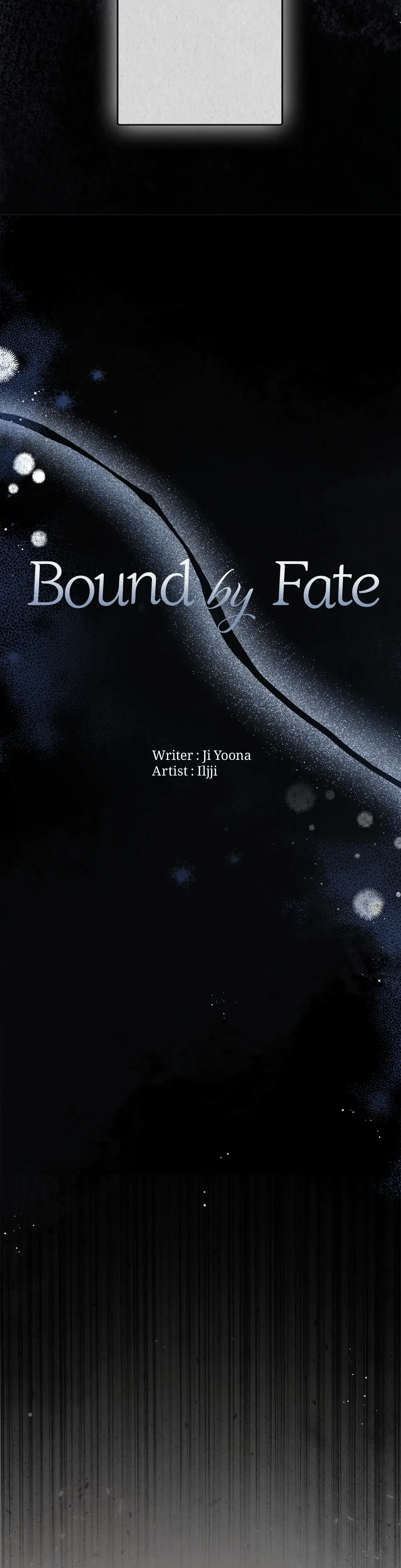 Bound By Fate Chapter 1 - Page 11