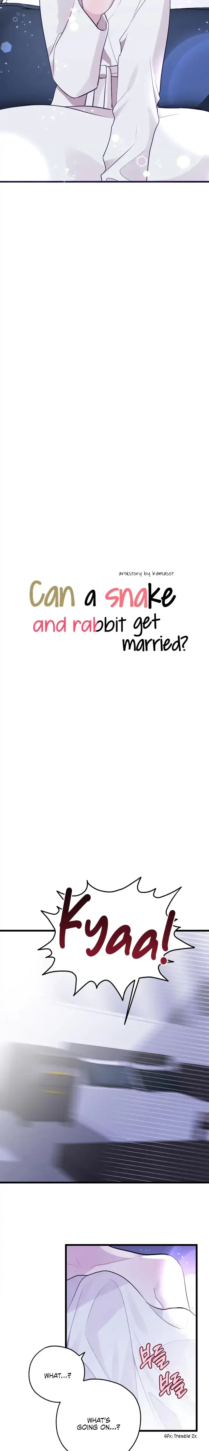 Can A Snake And Rabbit Get Married Chapter 2 - Page 4
