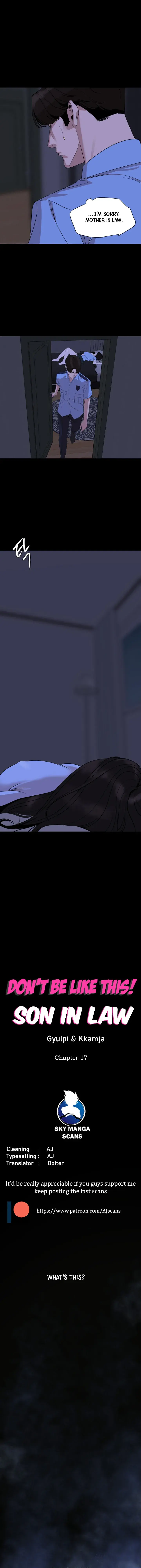Dont Be Like This Son In Law Chapter 17 - Page 1