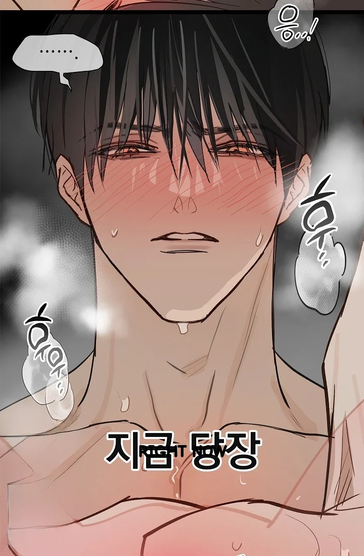 Flower Of Allure Chapter 48 - Page 56