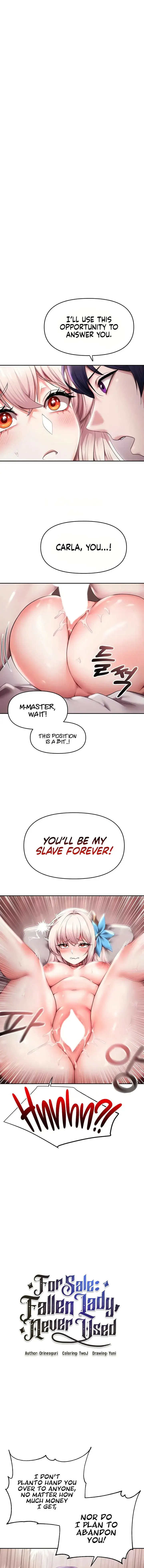For Sale Fallen Lady Never Used Chapter 11 - Page 1
