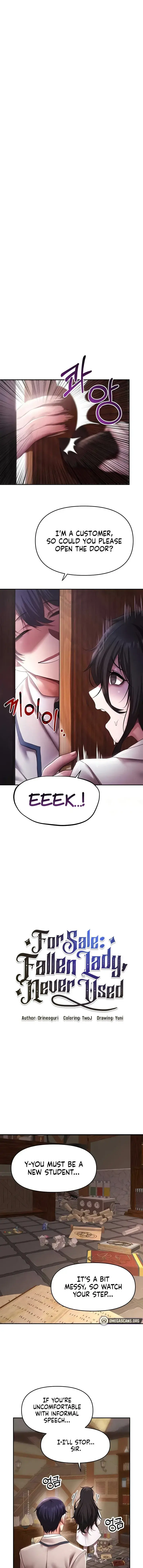 For Sale Fallen Lady Never Used Chapter 13 - Page 1