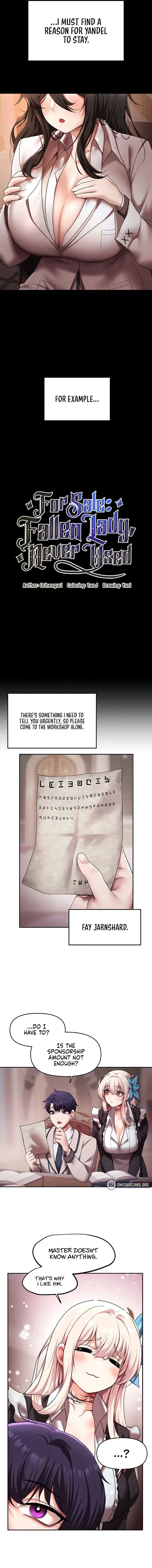 For Sale Fallen Lady Never Used Chapter 14 - Page 3