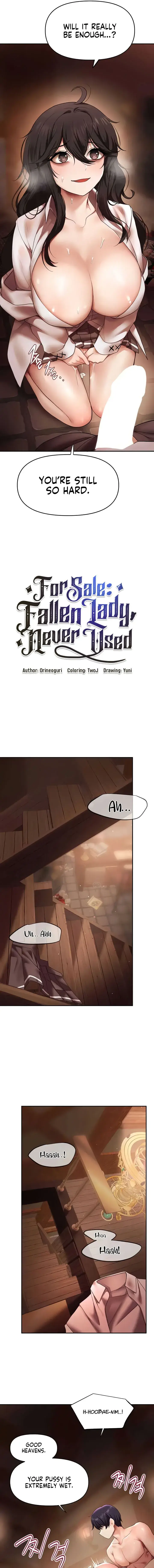 For Sale Fallen Lady Never Used Chapter 15 - Page 5