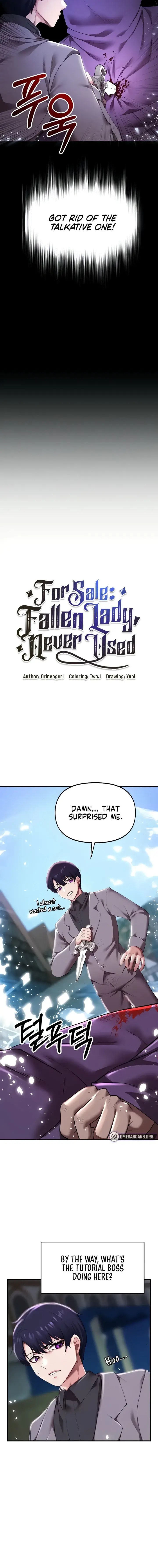 For Sale Fallen Lady Never Used Chapter 7 - Page 2