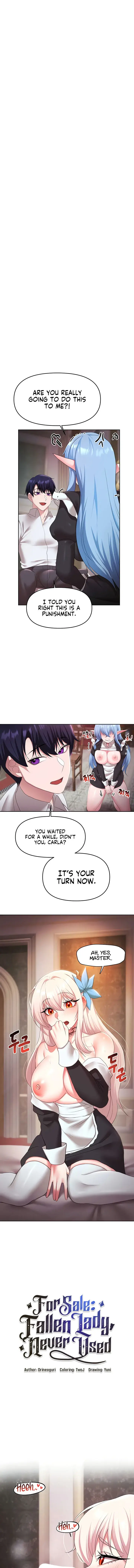 For Sale Fallen Lady Never Used Chapter 46 - Page 1