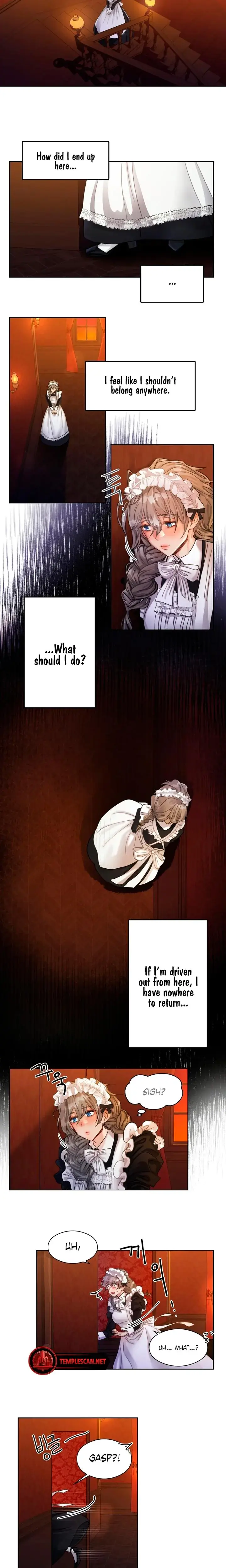 Gray Maid Chapter 1 - Page 17