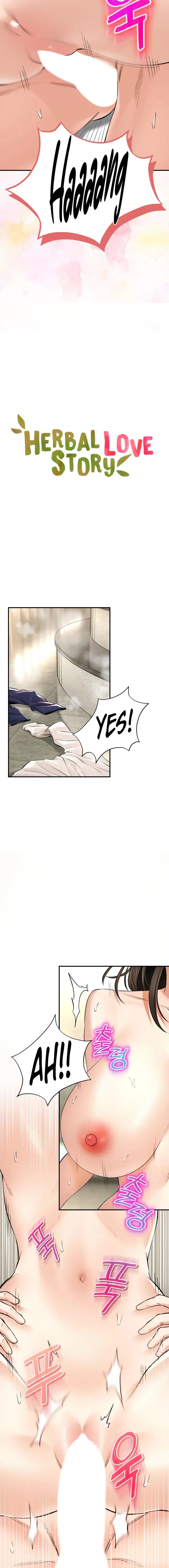 Herbal Love Story Chapter 35 - Page 2
