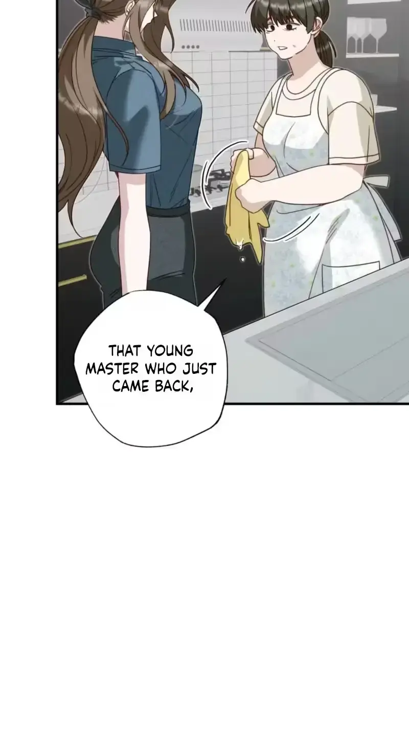 Hidden Fire Chapter 13 - Page 17