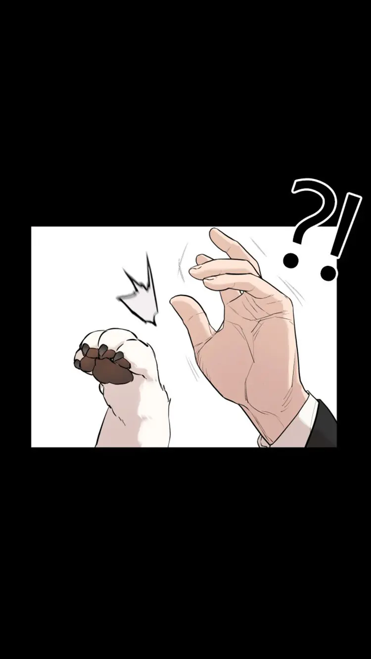 How To Fight Manhwa Online Acagbbb Chapter 13 - Page 18