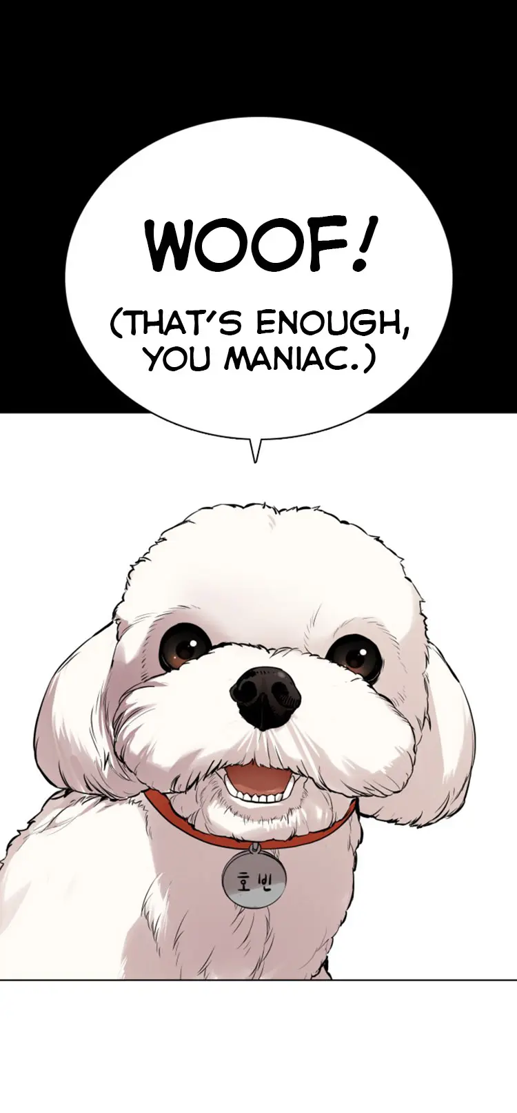How To Fight Manhwa Online Acagbbb Chapter 13 - Page 19