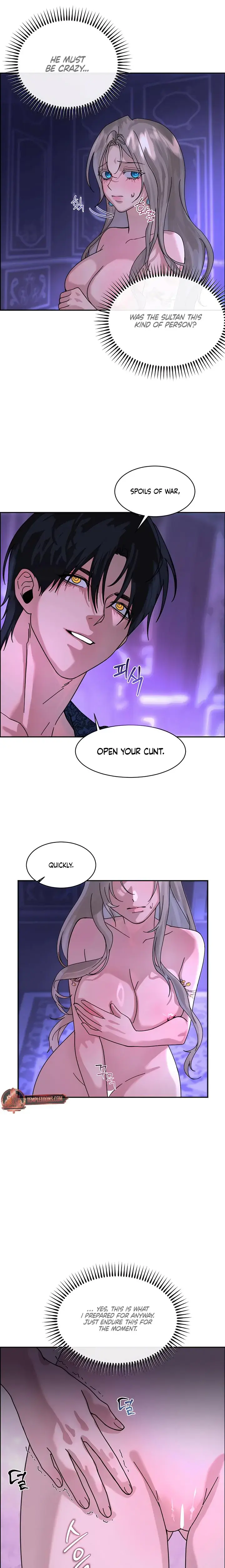 I Became The Sultans Spoils Chapter 2 - Page 15