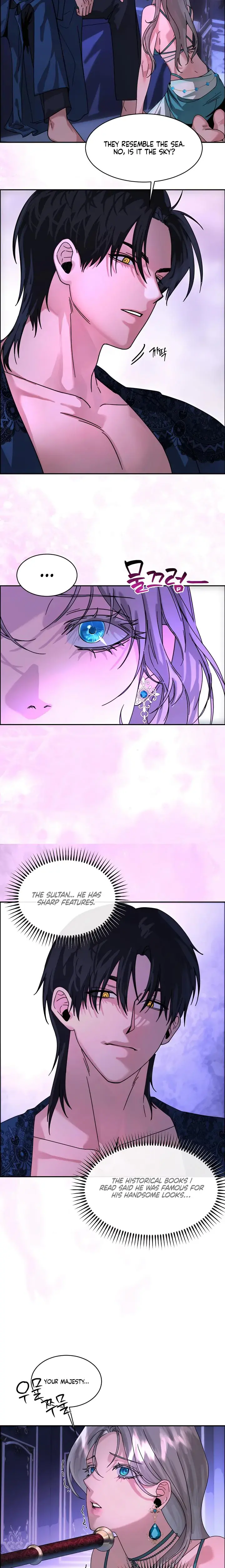 I Became The Sultans Spoils Chapter 2 - Page 9
