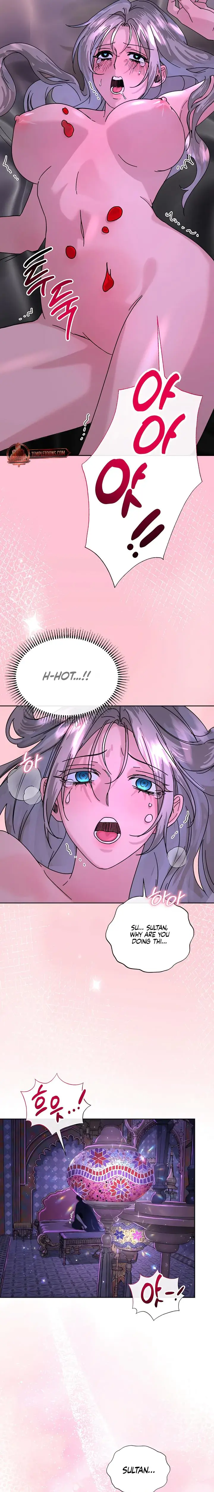 I Became The Sultans Spoils Chapter 5 - Page 19