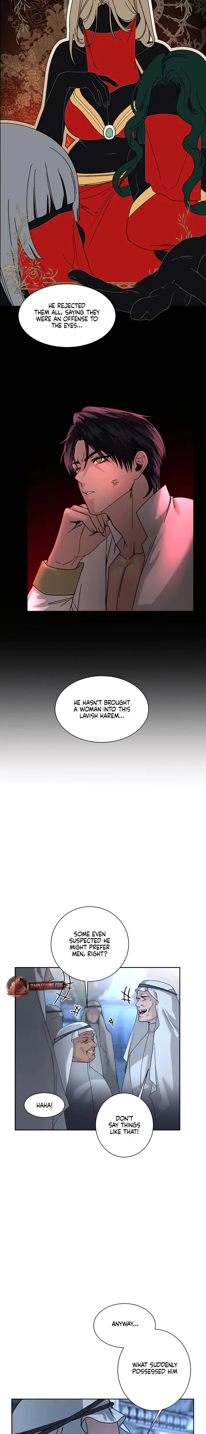 I Became The Sultans Spoils Chapter 5 - Page 7
