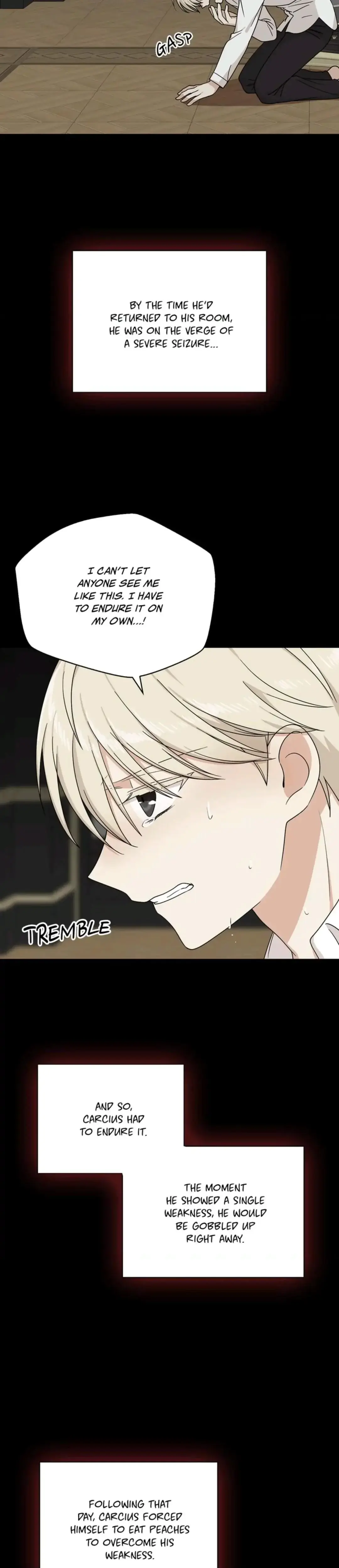 I Became The Villains Mother Chapter 30 - Page 17