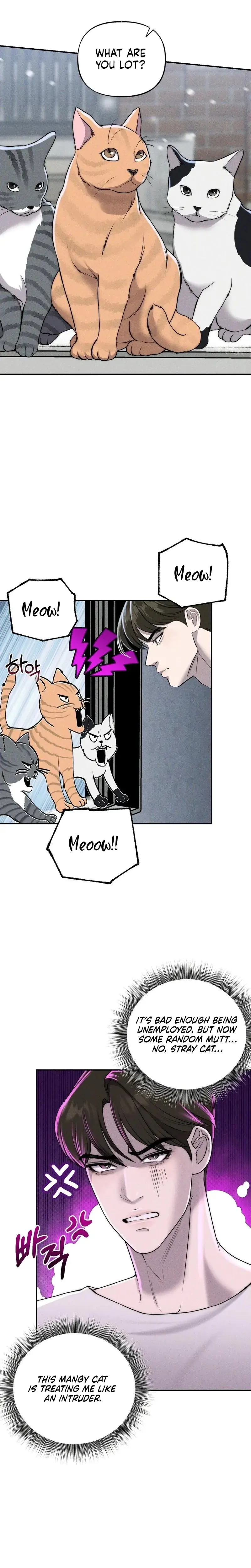 I Picked Up A Crazy Oppa Chapter 19 - Page 8