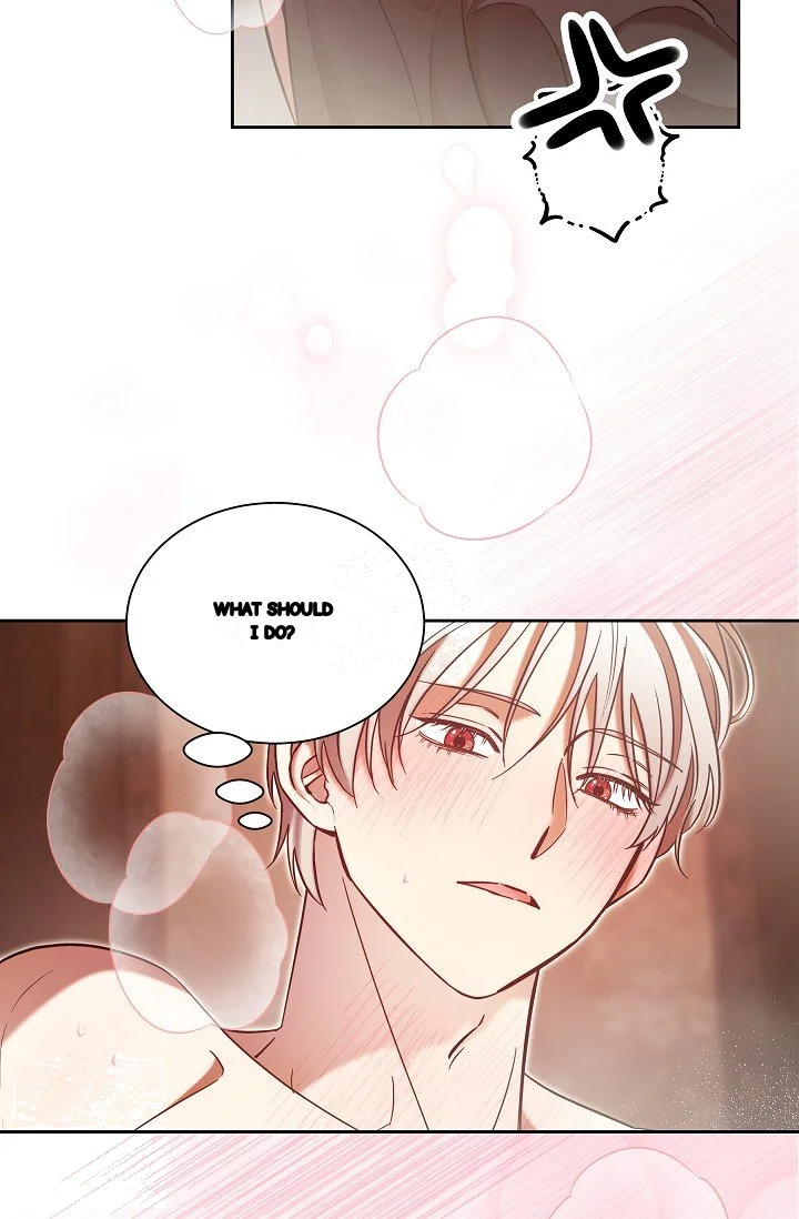 I Tamed The Angsty Male Lead With My Fists Chapter 62 - Page 14