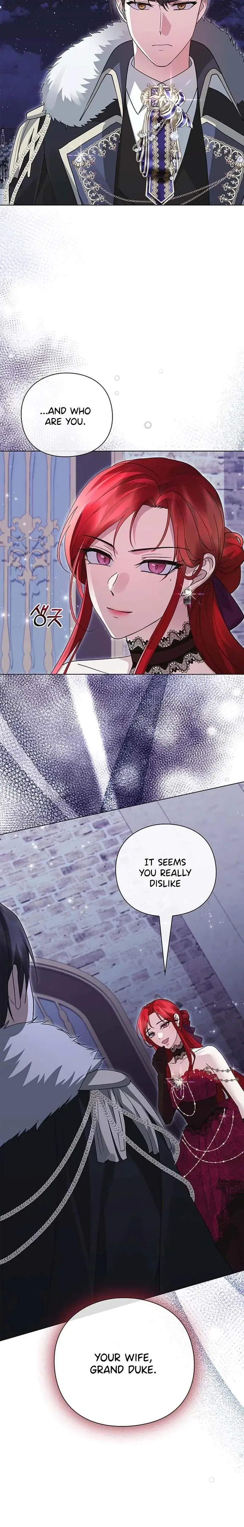 I Will Disappear For You Your Grace The Grand Duke Chapter 10 - Page 24