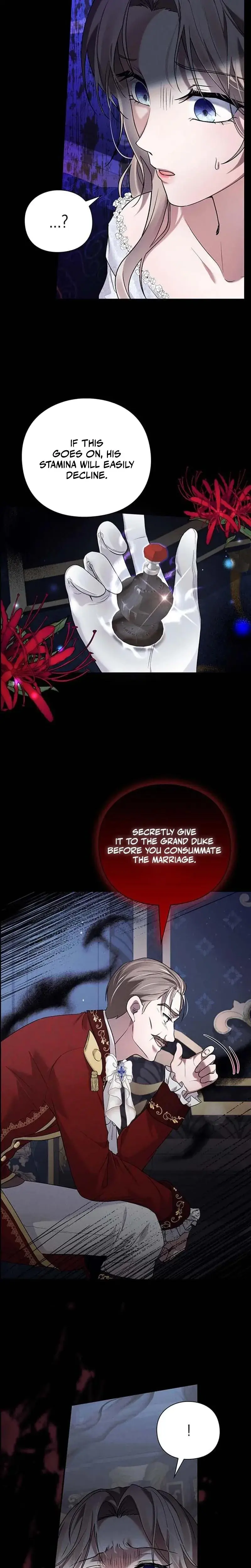 I Will Disappear For You Your Grace The Grand Duke Chapter 2 - Page 4