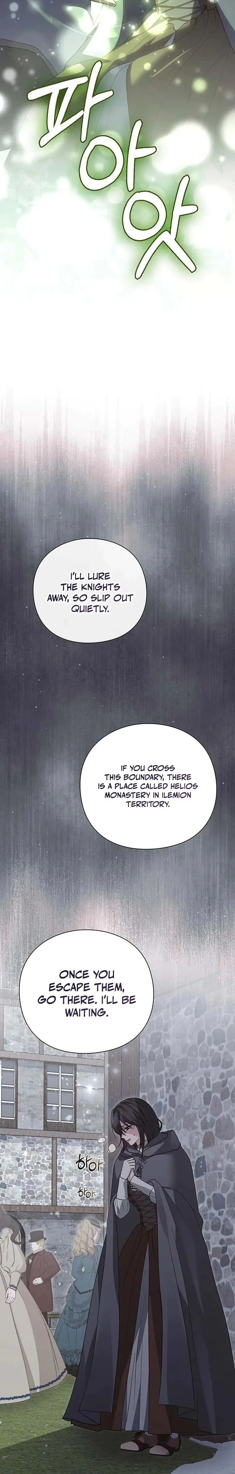 I Will Disappear For You Your Grace The Grand Duke Chapter 27 - Page 29