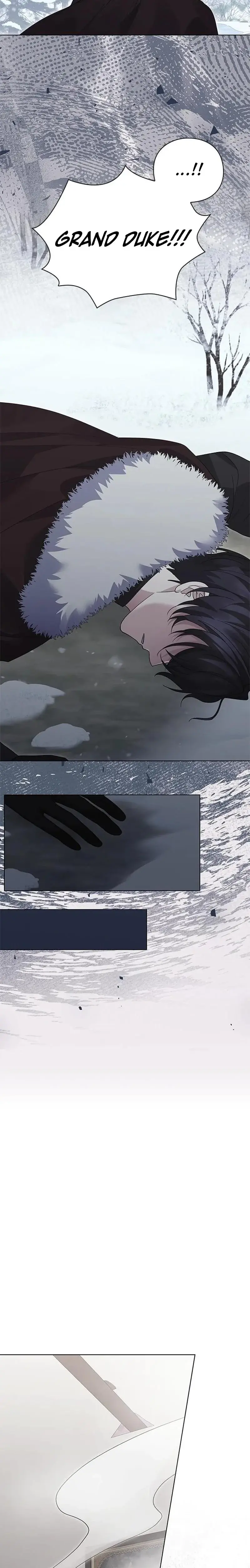 I Will Disappear For You Your Grace The Grand Duke Chapter 29 - Page 27