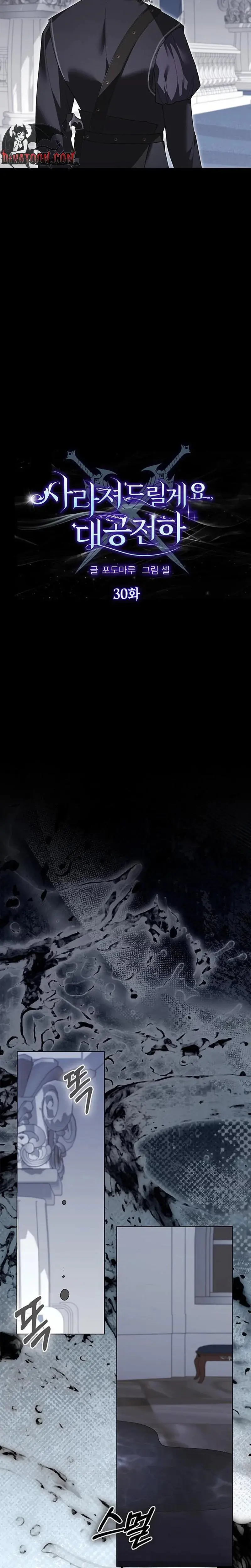 I Will Disappear For You Your Grace The Grand Duke Chapter 30 - Page 10