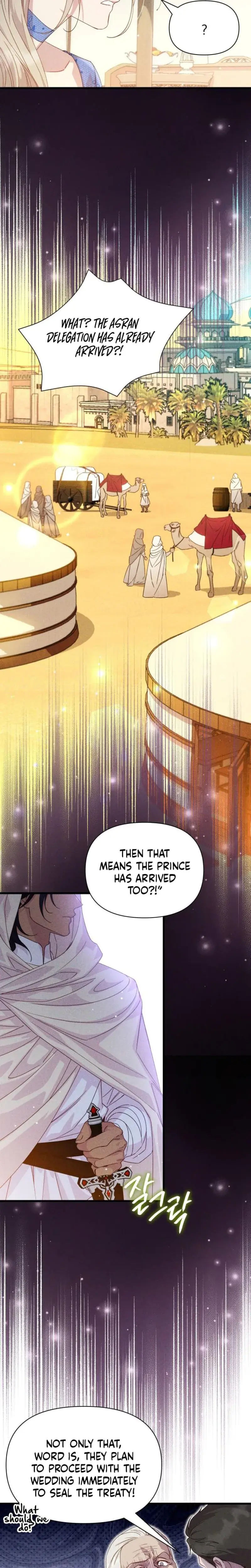 Lily Buschs Fraudulent Marriage Chapter 1 - Page 15