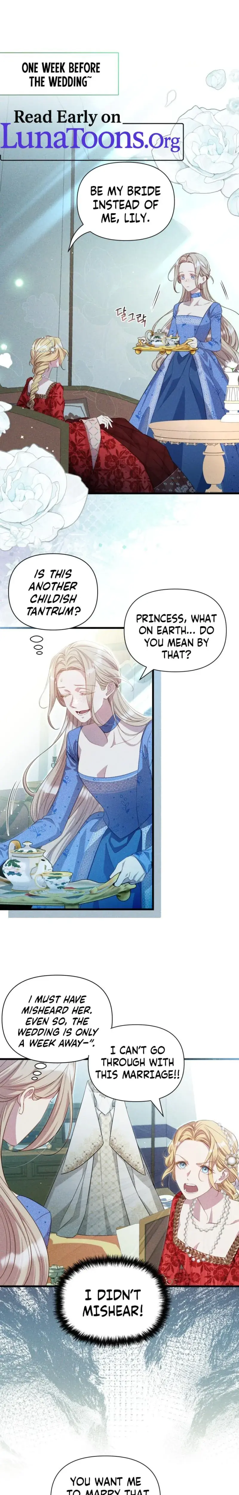 Lily Buschs Fraudulent Marriage Chapter 2 - Page 1