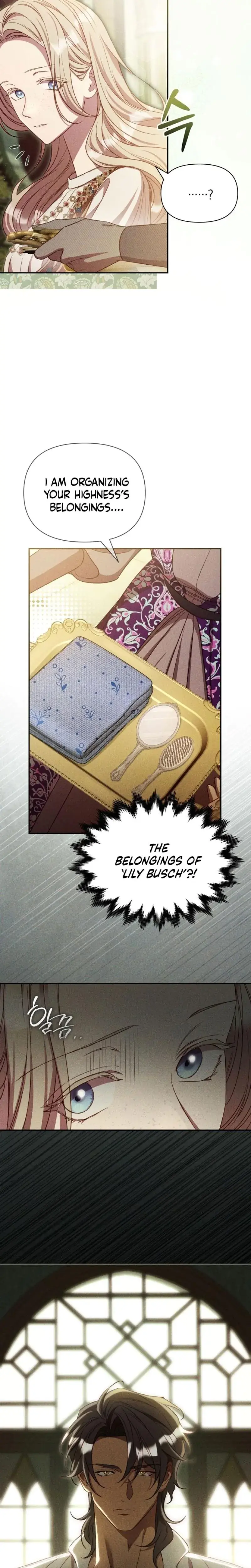 Lily Buschs Fraudulent Marriage Chapter 21 - Page 25