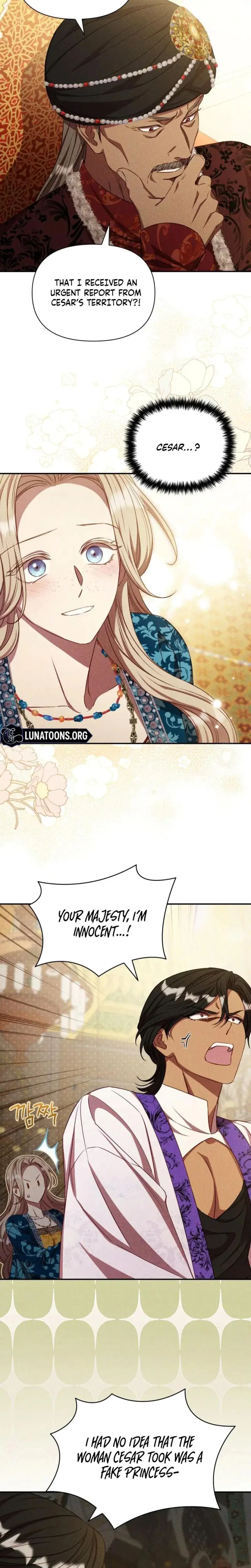 Lily Buschs Fraudulent Marriage Chapter 29 - Page 17