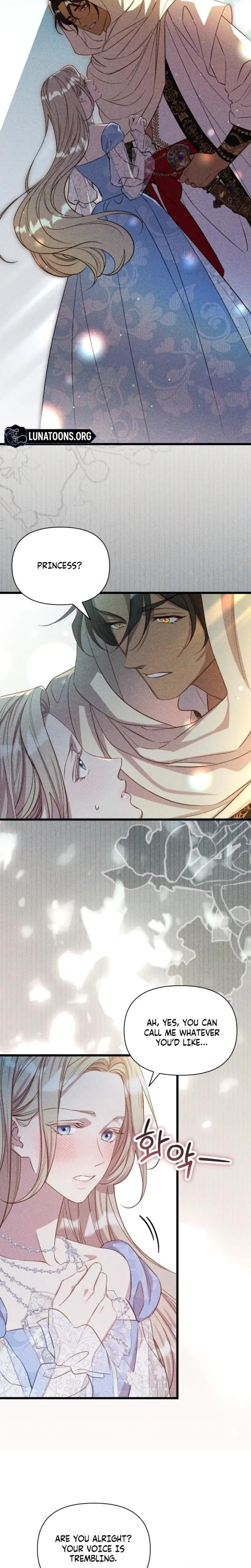 Lily Buschs Fraudulent Marriage Chapter 3 - Page 11