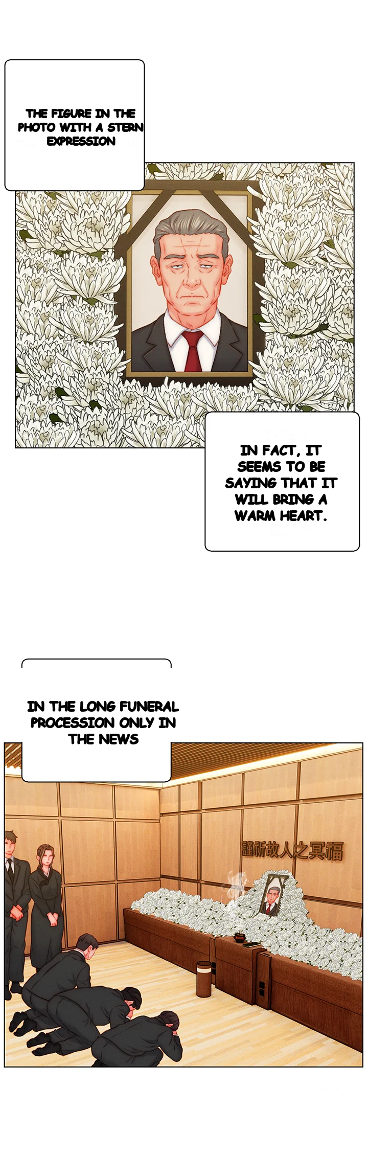 Live In Son In Law Chapter 48 - Page 3