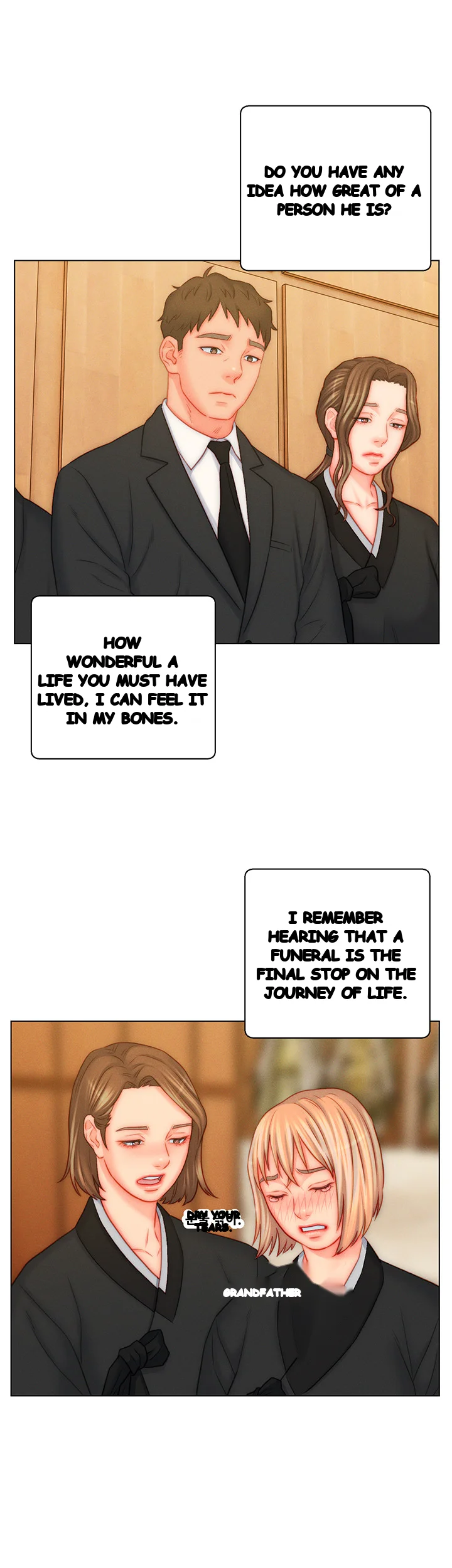 Live In Son In Law Chapter 48 - Page 4